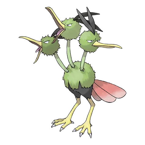 Dodrio variocolor