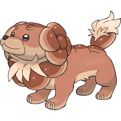 Dachsbun variocolor