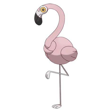 Flamigo variocolor