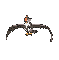 Staraptor