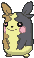 Morpeko-full-belly