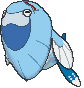 Arctovish