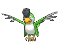 Squawkabilly-green-plumage