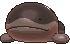 Clodsire