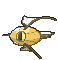 Magikarp variocolor