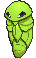 Kakuna variocolor