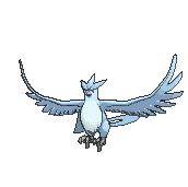 Articuno variocolor