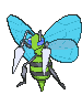 Beedrill variocolor