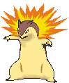 Typhlosion variocolor