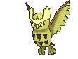 Noctowl variocolor