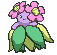 Bellossom variocolor