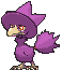 Murkrow variocolor