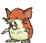 Raticate variocolor