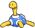 Shuckle variocolor