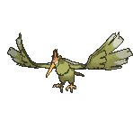 Fearow variocolor