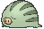 Swinub variocolor