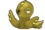 Octillery variocolor