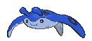 Mantine variocolor