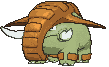 Donphan variocolor