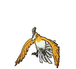 Ho-oh variocolor
