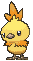 Torchic variocolor
