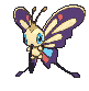 Beautifly variocolor