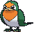 Taillow variocolor
