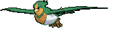 Swellow variocolor