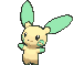 Minun variocolor