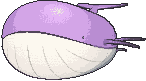 Wailord variocolor