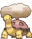 Torkoal variocolor