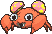 Paras variocolor