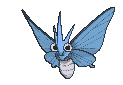 Venomoth variocolor