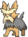 Herdier variocolor