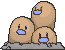 Dugtrio variocolor