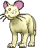 Persian variocolor