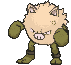 Primeape variocolor