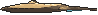 Stunfisk variocolor