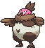 Vullaby variocolor