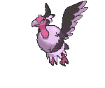 Mandibuzz variocolor