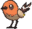 Fletchling variocolor