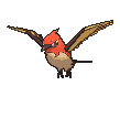 Fletchinder variocolor