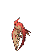 Talonflame variocolor