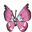 Vivillon variocolor