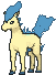Ponyta variocolor