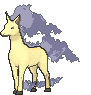 Rapidash variocolor