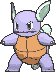 Wartortle variocolor