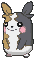 Morpeko-full-belly variocolor