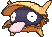 Shellder variocolor