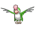 Squawkabilly-green-plumage variocolor